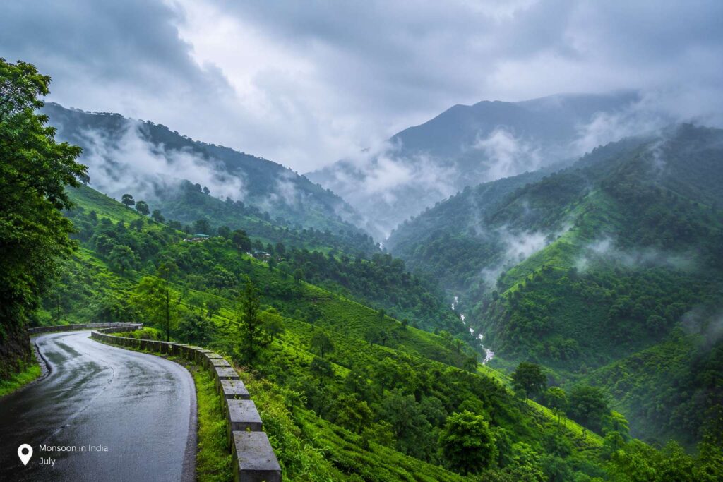 Misty green hill station valley during monsoon season in India in July
