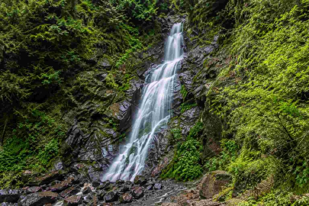 Chadwick Falls waterfall cascading through dense forest in Shimla, India
