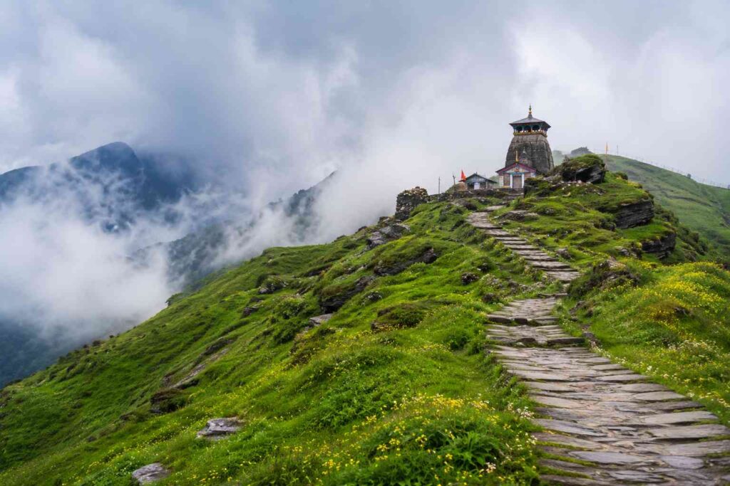 Green alpine meadow at Chopta Uttarakhand leading to Tungnath temple
