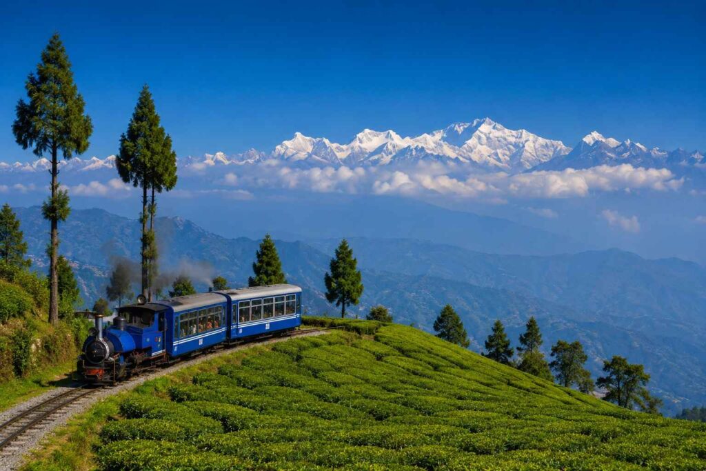 Darjeeling Toy Train passing through green tea gardens with Himalayan peaks in the background