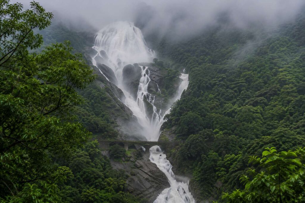 Dudhsagar Falls Goa at peak monsoon flow surrounded by dense green jungle