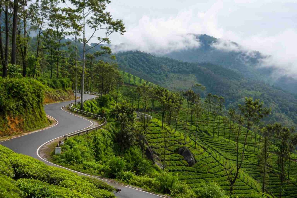 Ponmudi hill station Kerala – ghat road through plantations near Trivandrum