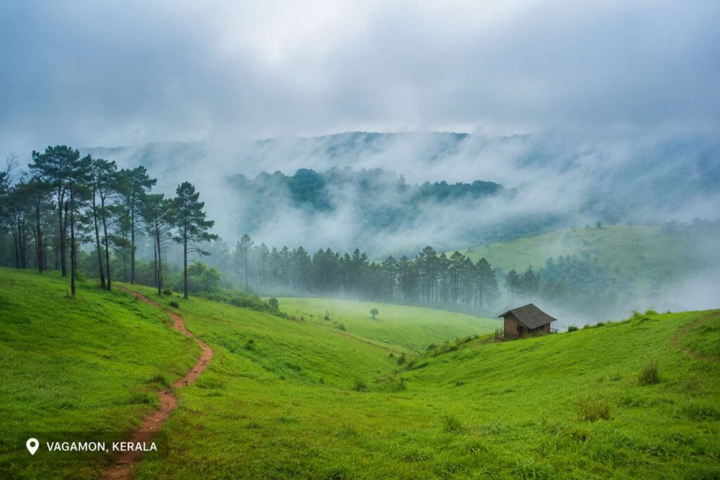 Vagamon Kerala hill station – wide meadows with pine trees and fog