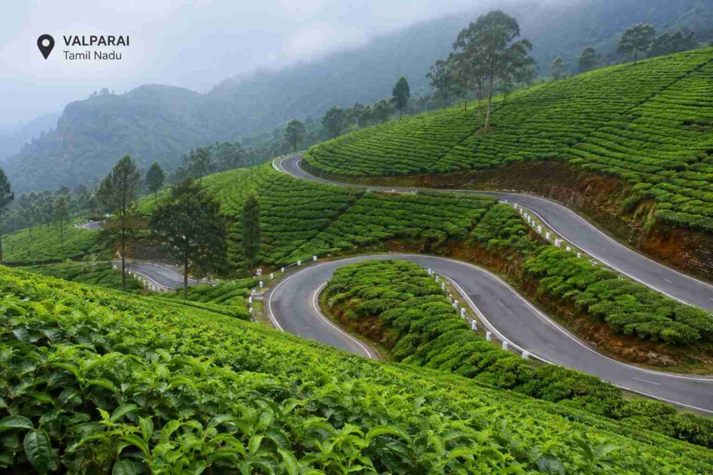 Valparai tea estate hairpin bends Anamalai Hills Tamil Nadu